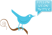 follow us on twitter