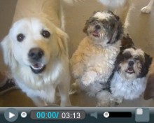 Kristy Swanson shares her expereince of using The Loved Dog's services