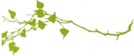 green leaves