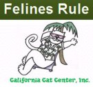Felines Rules - Tips on moving with a cat