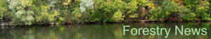 Eco-Luxury NorthStar Moving Named Official Supporter of Sustainable Forestry Initiative