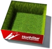 Going Green